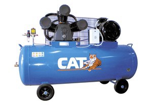 Компрессор CAT W80-300